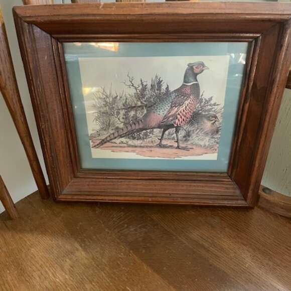 Pheasant Print - Picture 1 of 1